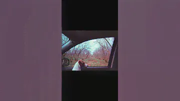 Shooting expired film! Kodak Colorplus 200 with the Canon F1