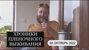 Хроники пленочного выживания за октябрь 2022