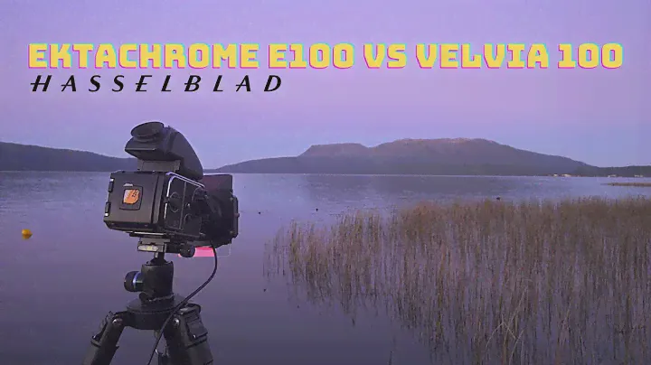Kodak Ektachrome E100 vs Fuji Velvia 100