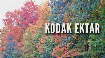 КОДАК ЭКТАР 100