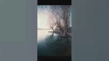 Canon F1 and Kodak Portra 400 in Posta Fibreno's lake