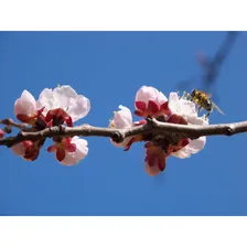 Kodak EasyShare Z8612 IS фотоаппараты