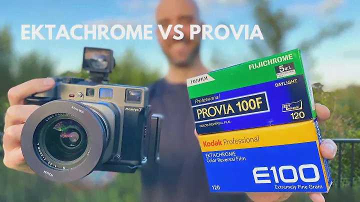 Ektachrome E100 Vs Provia 100F | 120 Slide Film | Mamiya 7