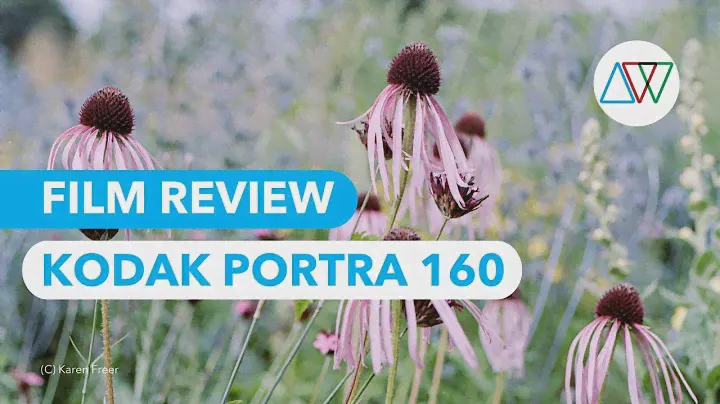 Обзор Kodak Portra 160 — «Солнечные портреты»